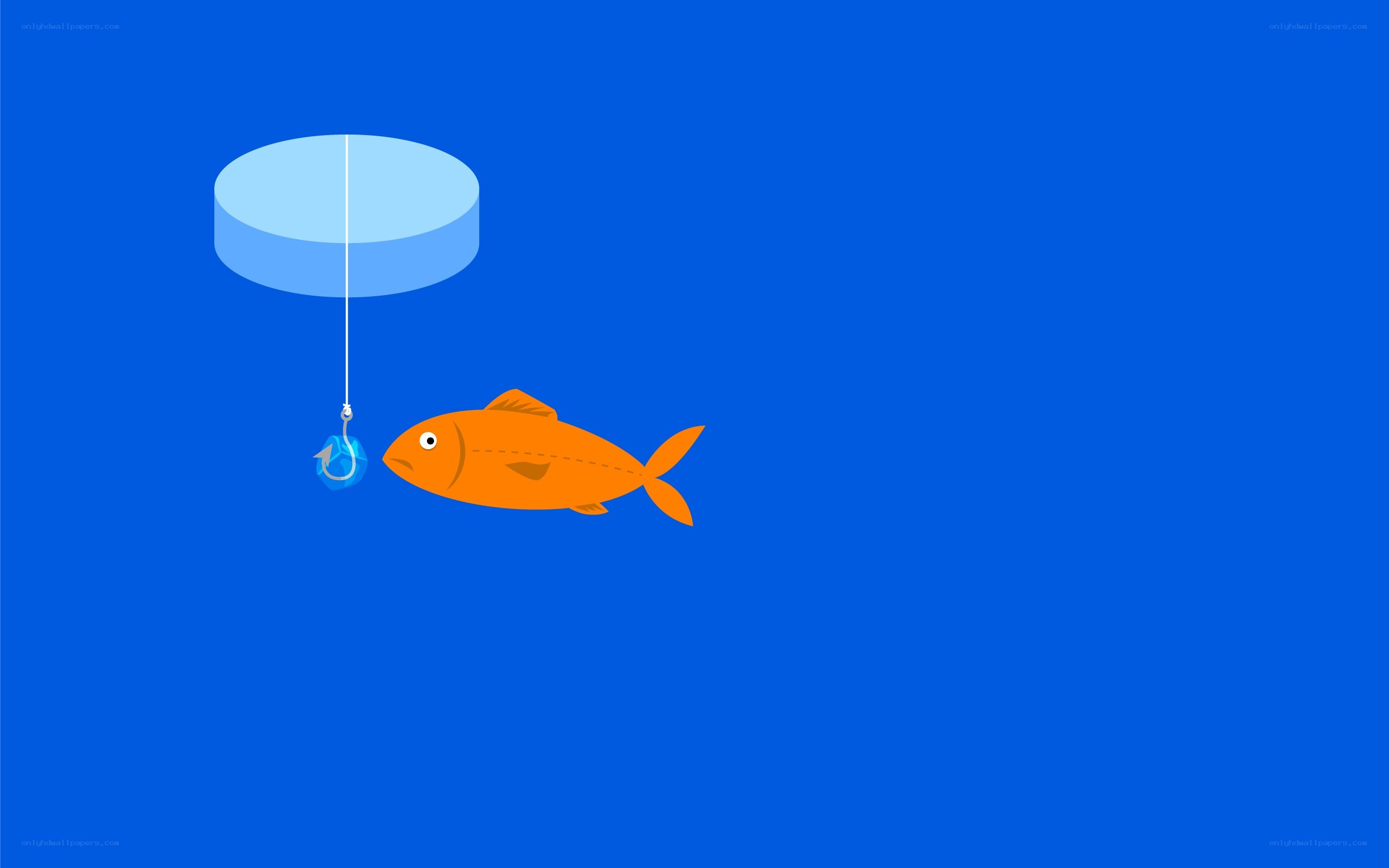 fish and fishing hook