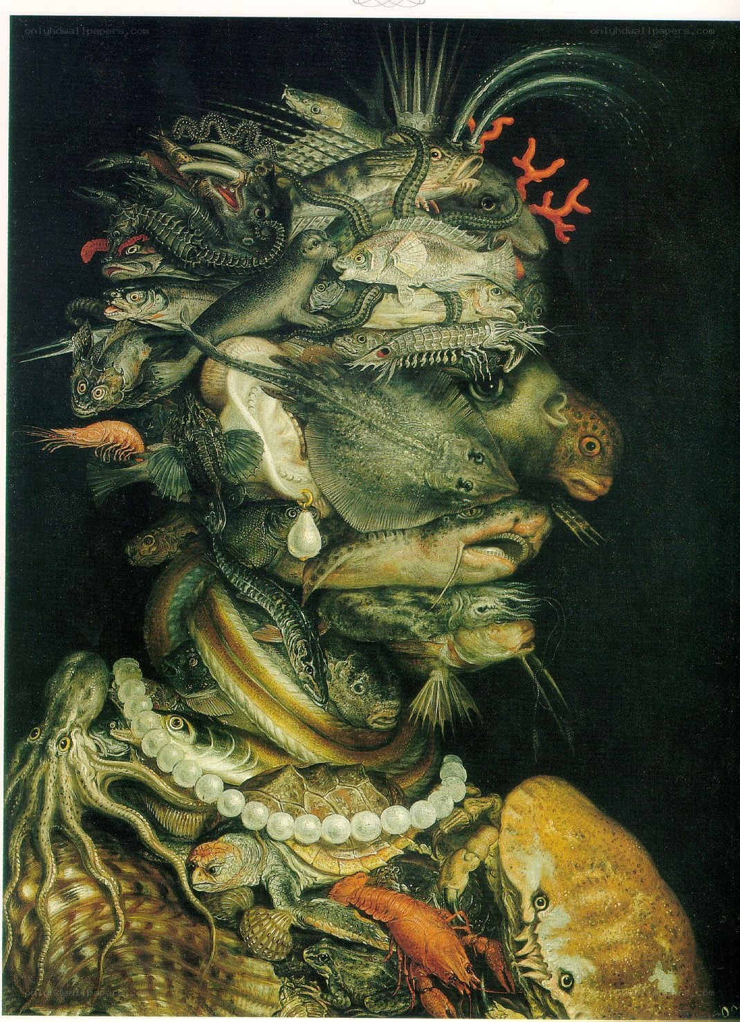 Fish and Sea Creatures Still Life