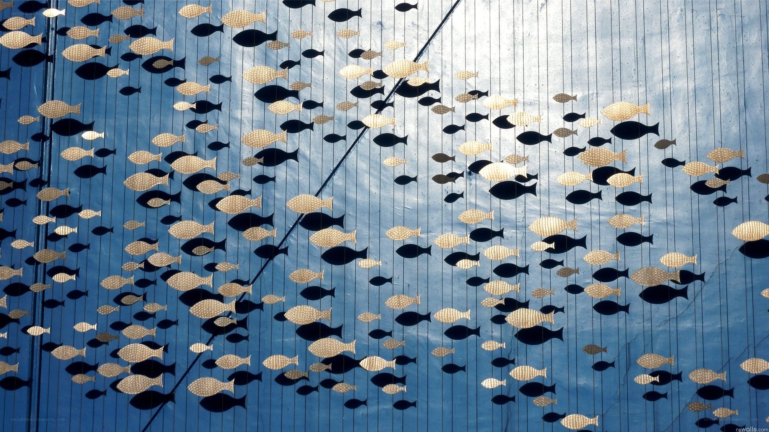 Fish art installation on blue wall