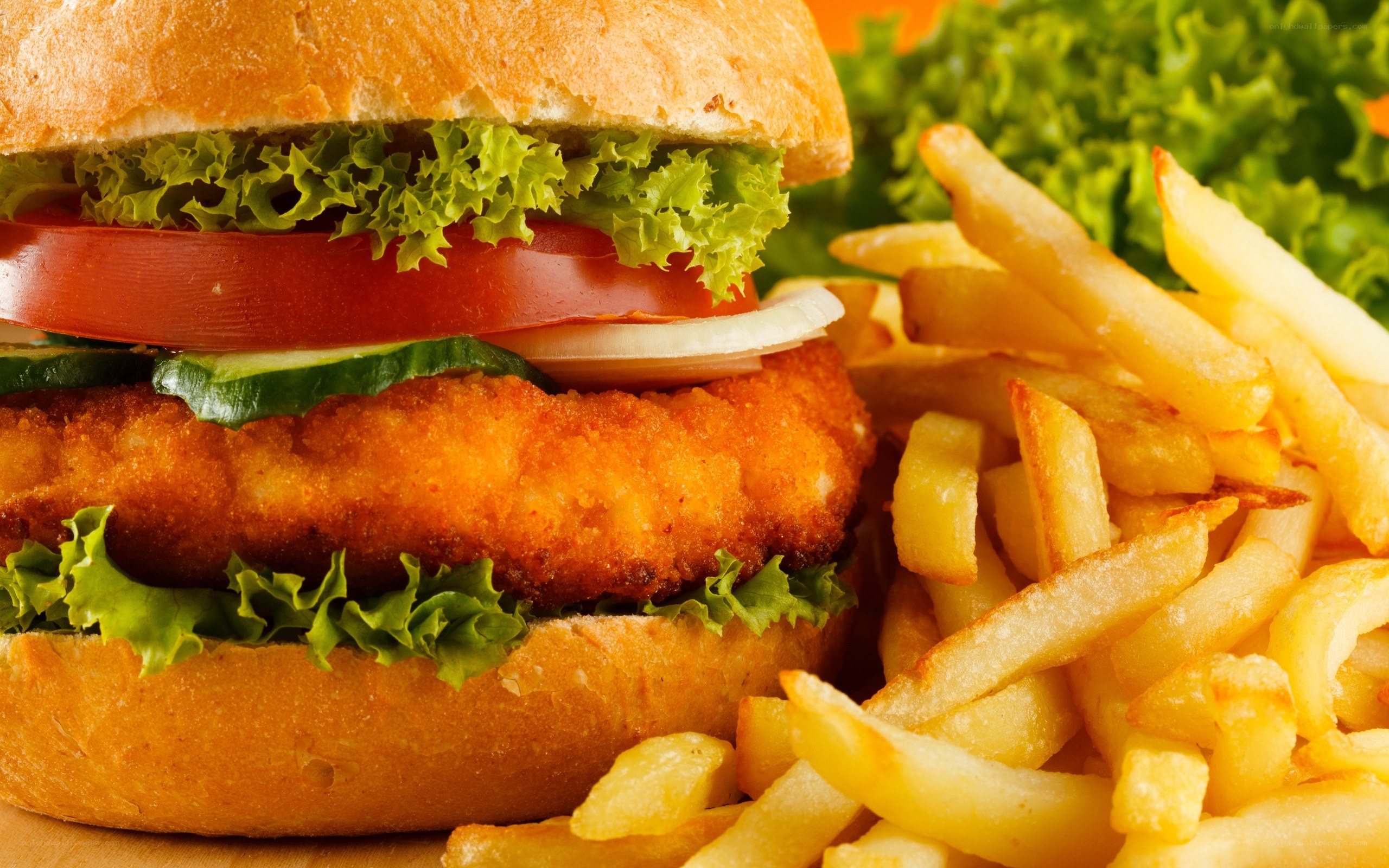 fish burger with fries