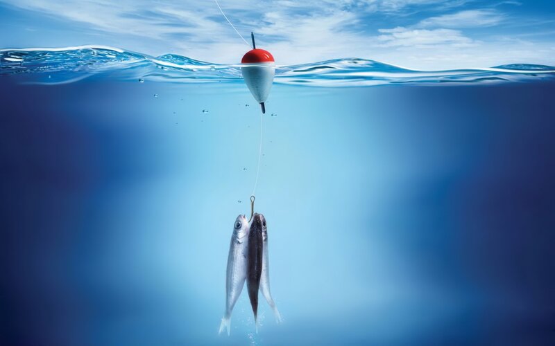 Fish Caught on Hook — Blue