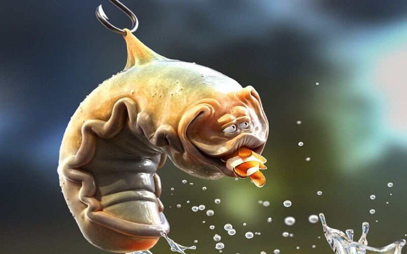 fish eating a clownfish