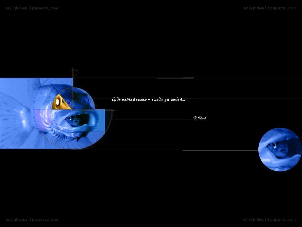 fish eye design with quote