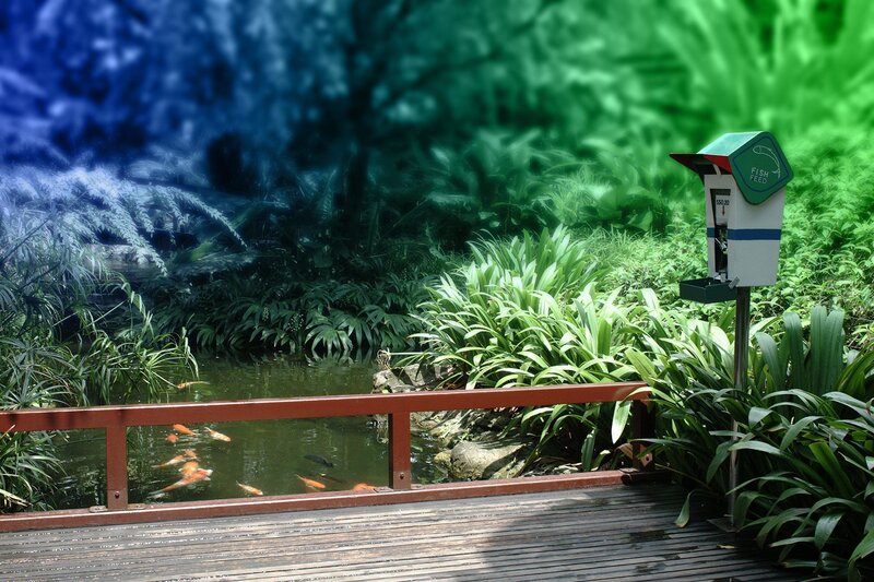 Fish feeding station by pond
