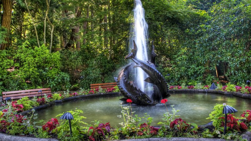 Fish Fountain in Garden — Green