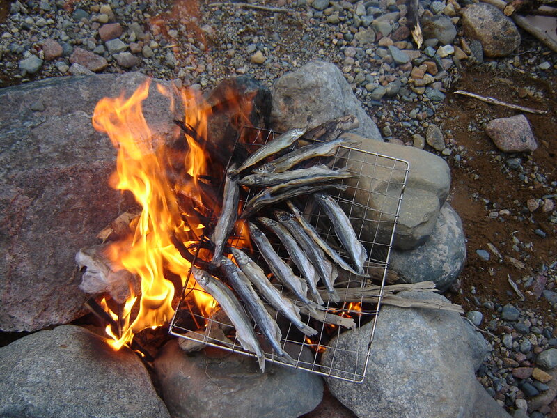 Fish Grilling on Fire