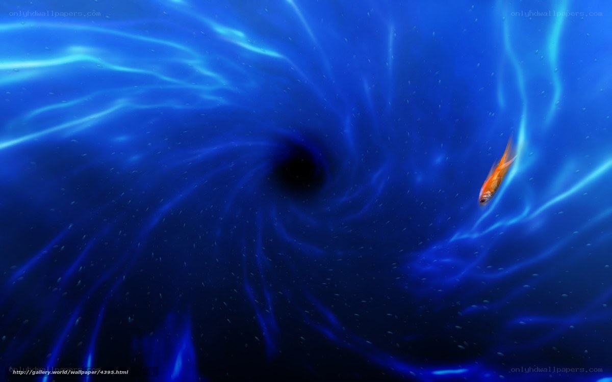 fish in a blue vortex