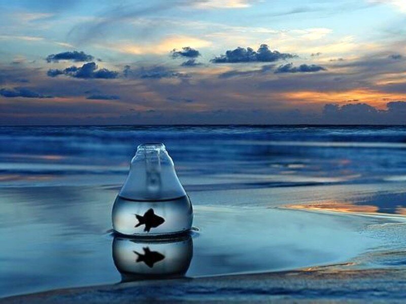 Fish in a bottle on the beach