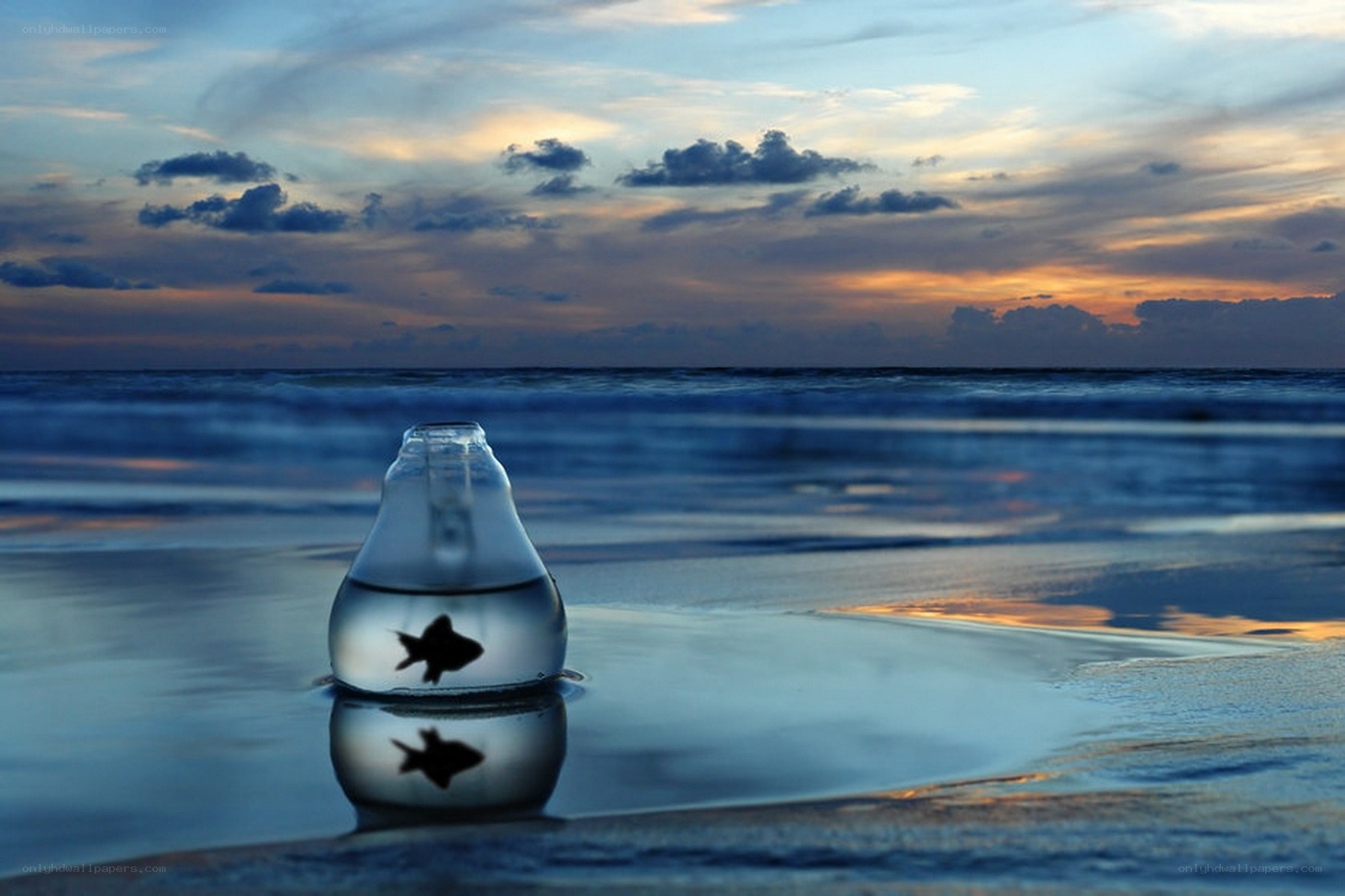 Fish in a bottle on the beach