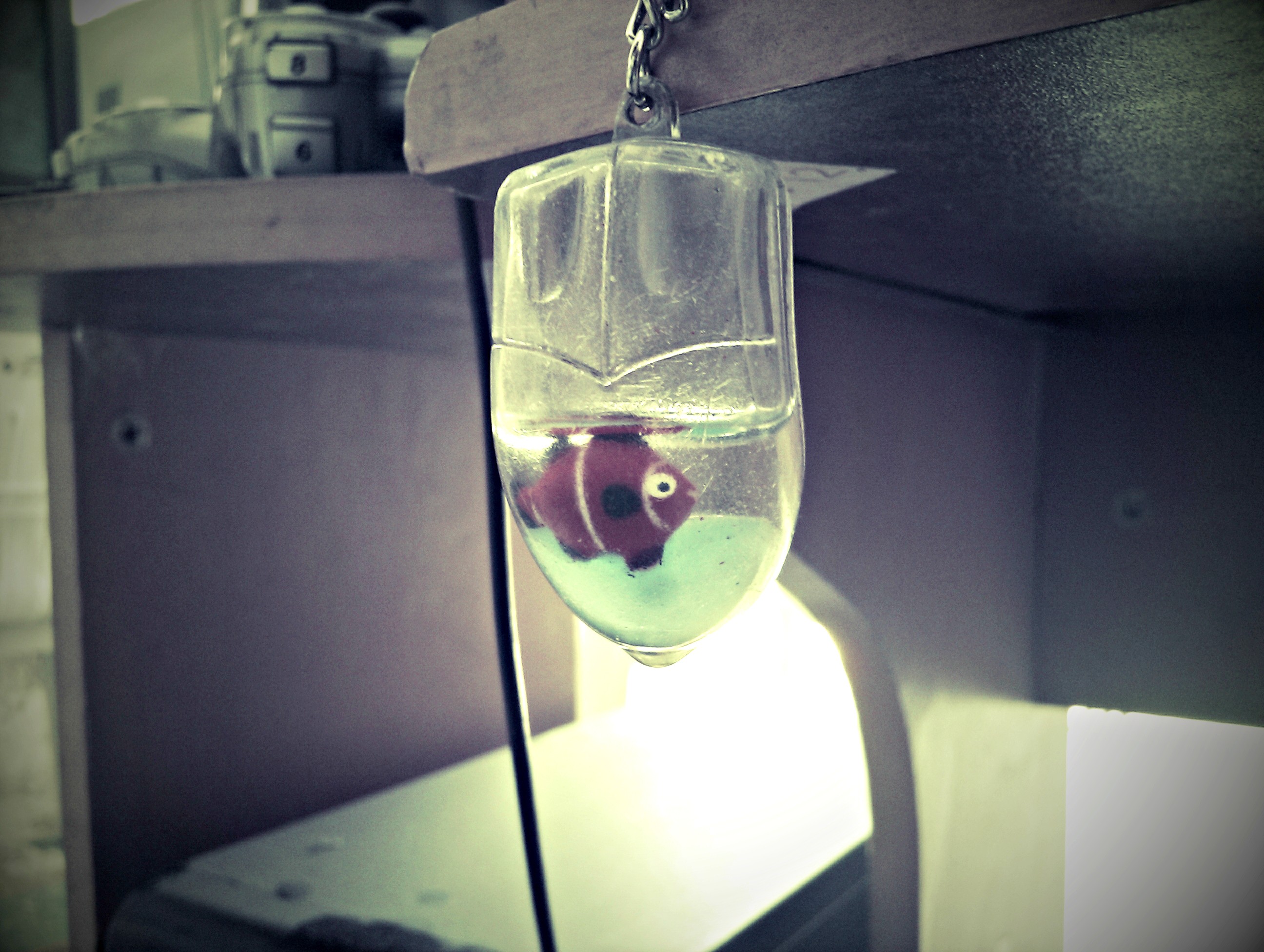 fish in a bottle pendant