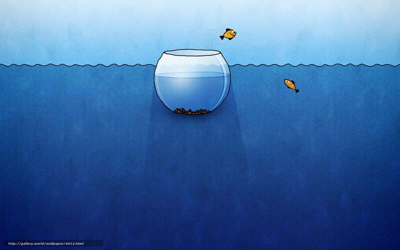 fish in a bowl