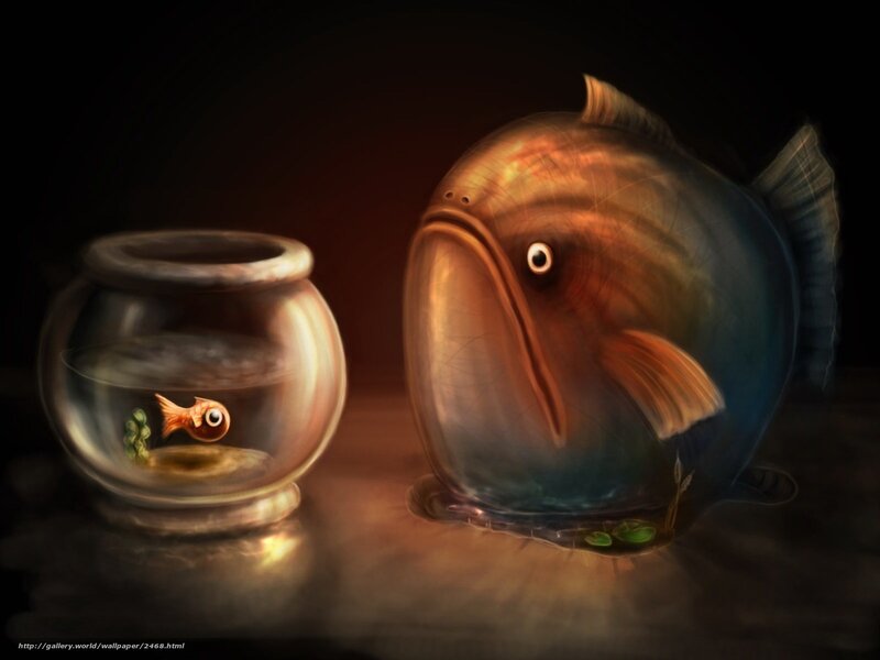 Fish in a Bowl