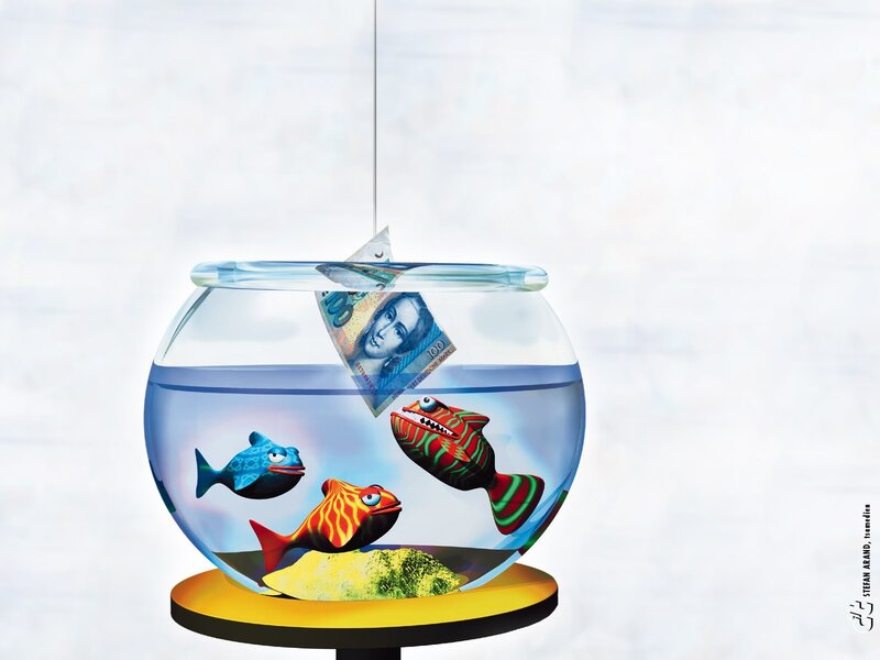 Fish in a bowl with money