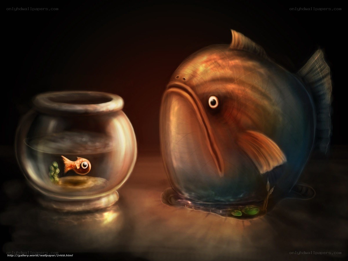Fish in a Bowl