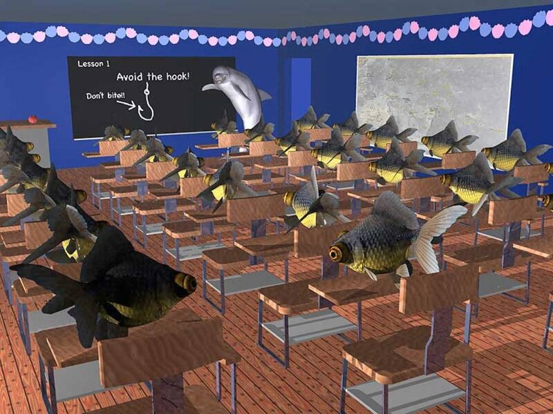 Fish in a Classroom