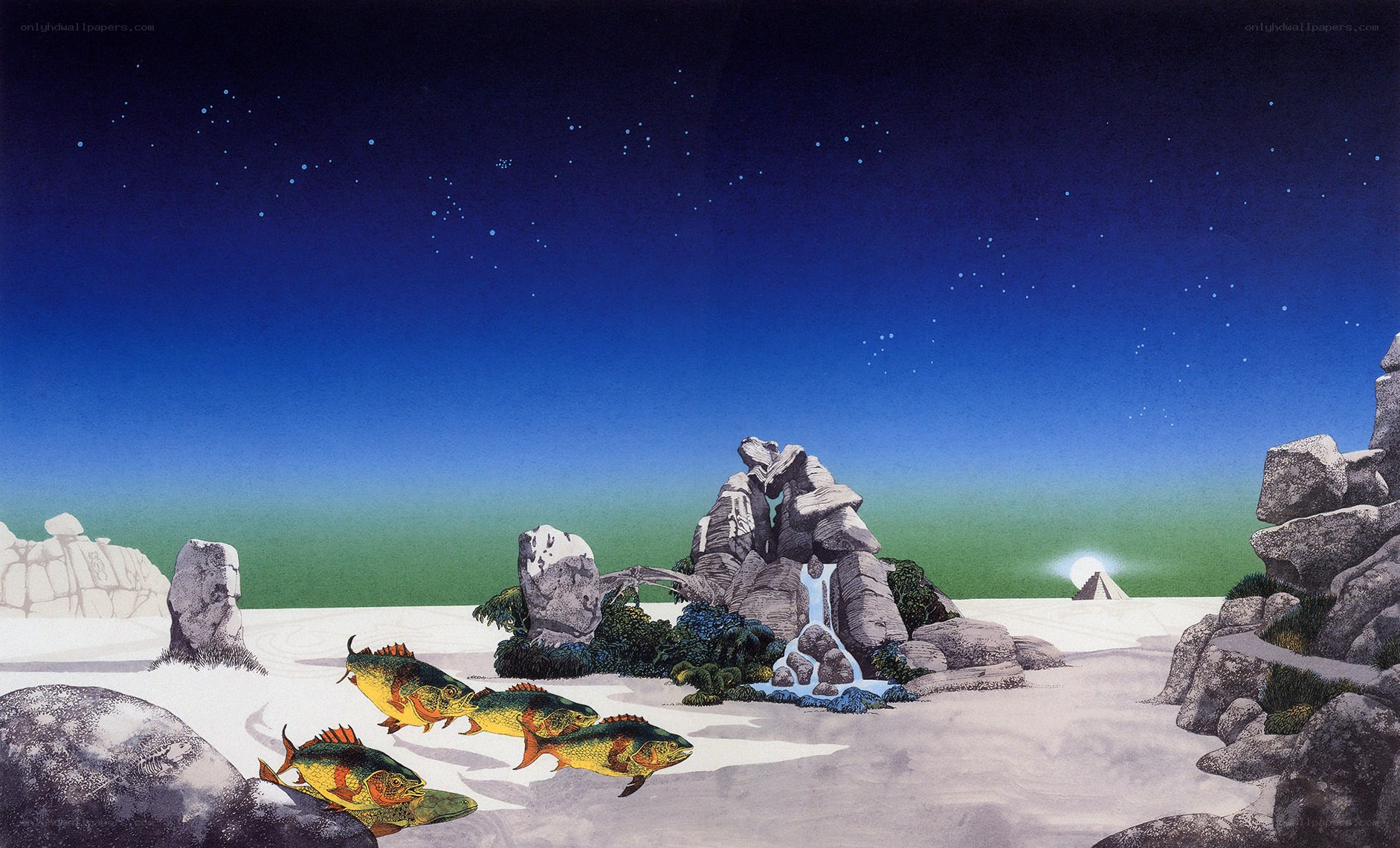 Fish in a desert landscape