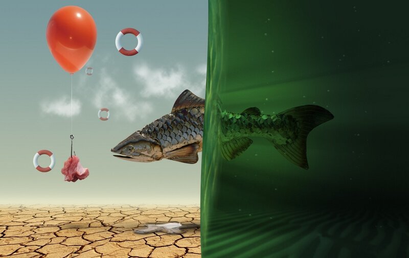 Fish in a dry world