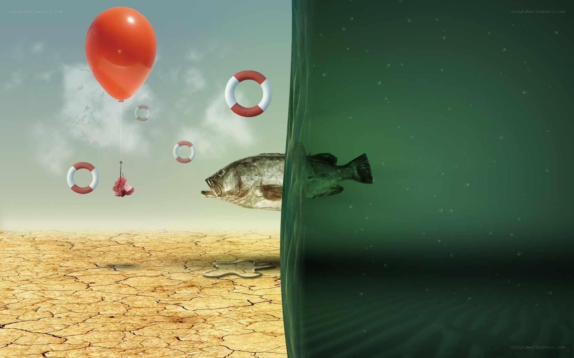 fish in a dry world