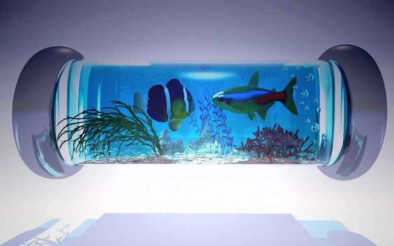 Fish in a glass tube