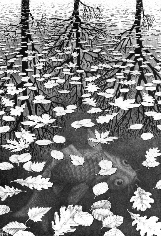 Fish in a leaf-filled pond
