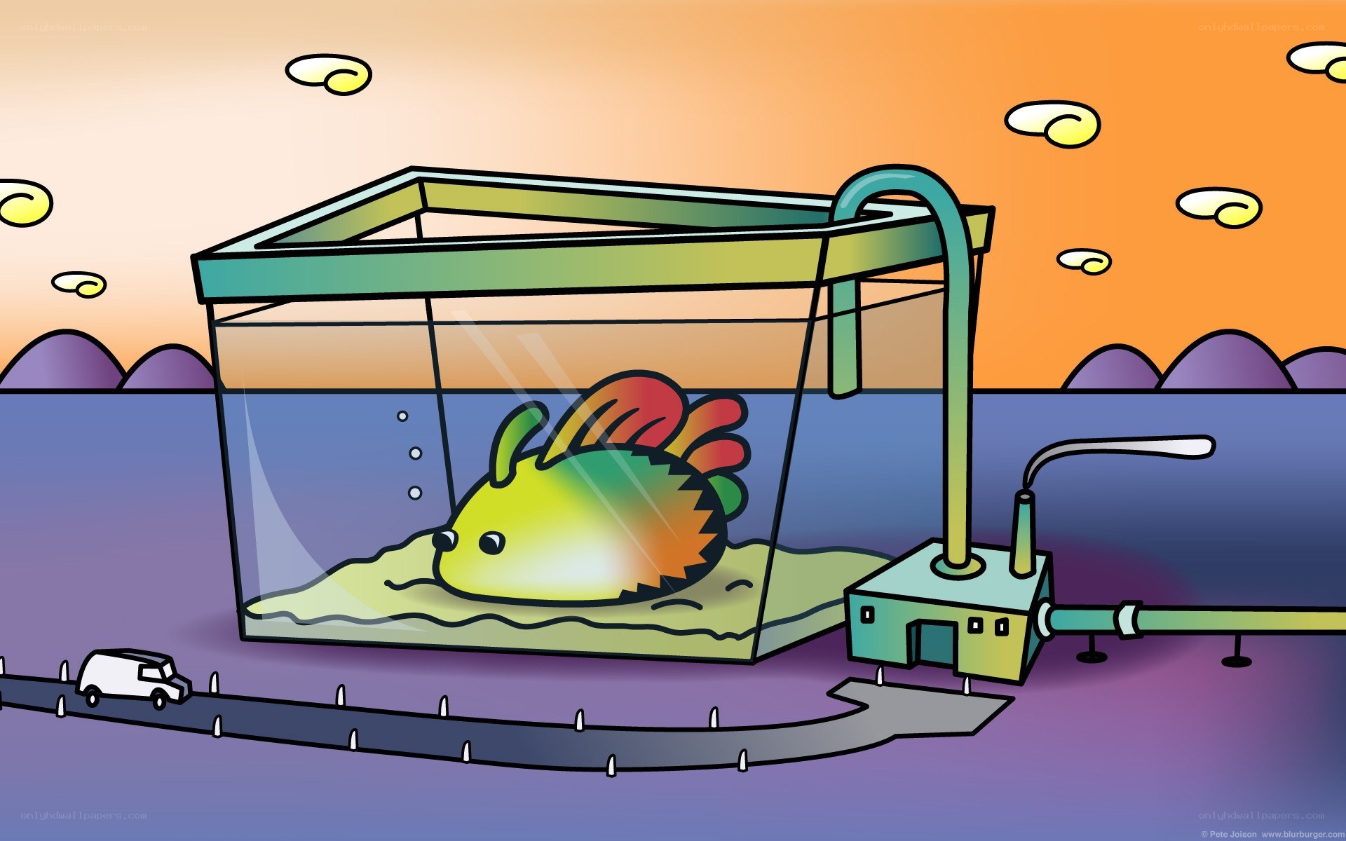 fish in a tank