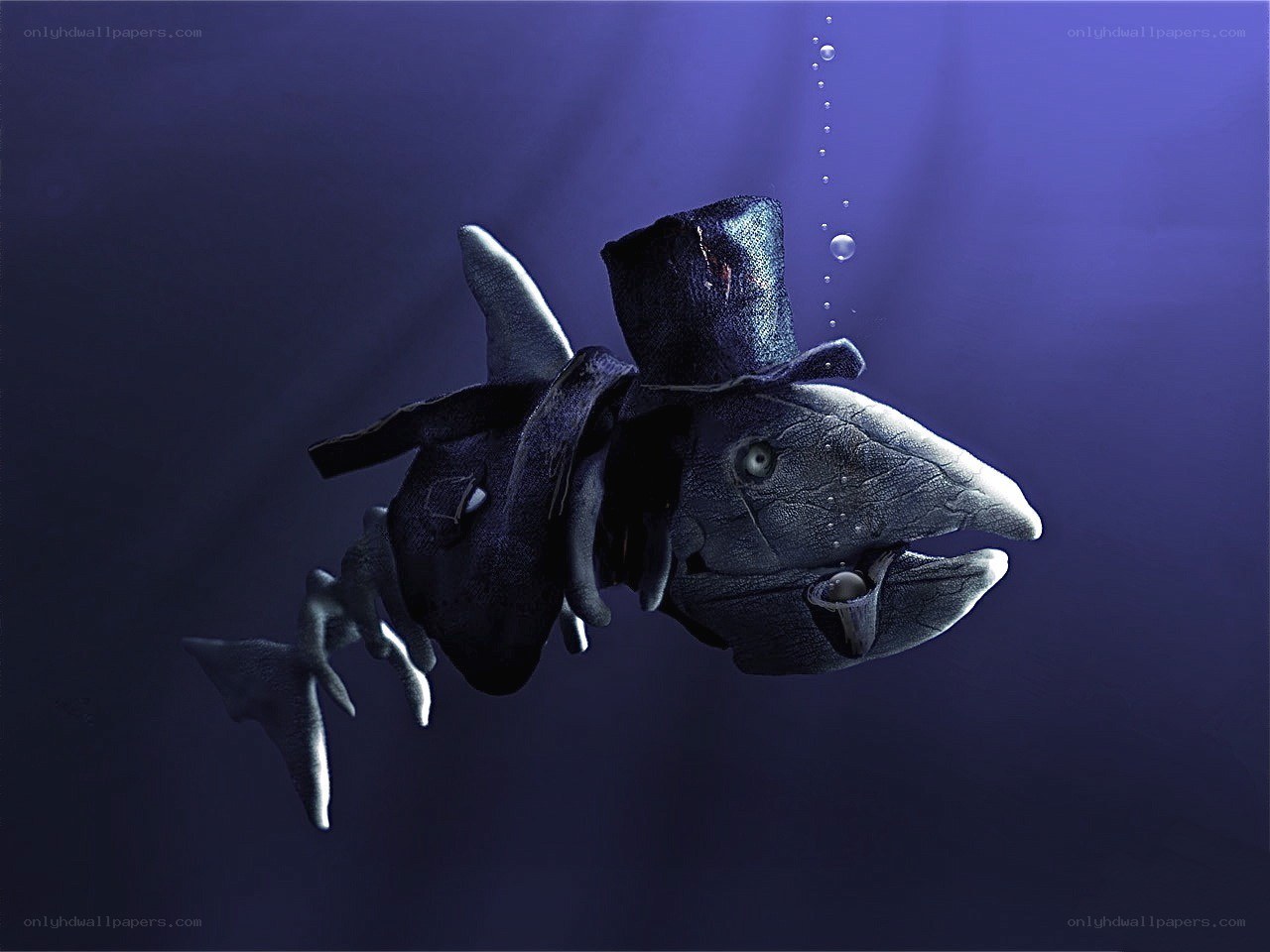 fish in a top hat underwater