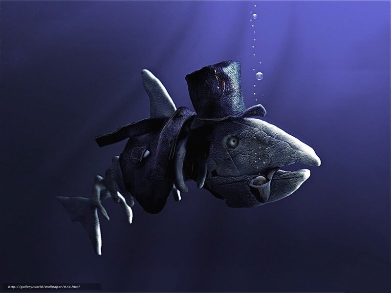 fish in a top hat underwater