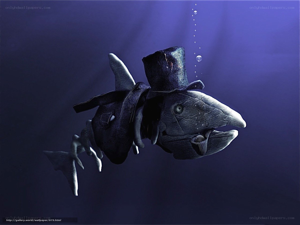 fish in a top hat underwater