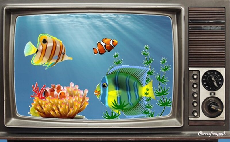 Fish in Aquarium — Blue, Serene