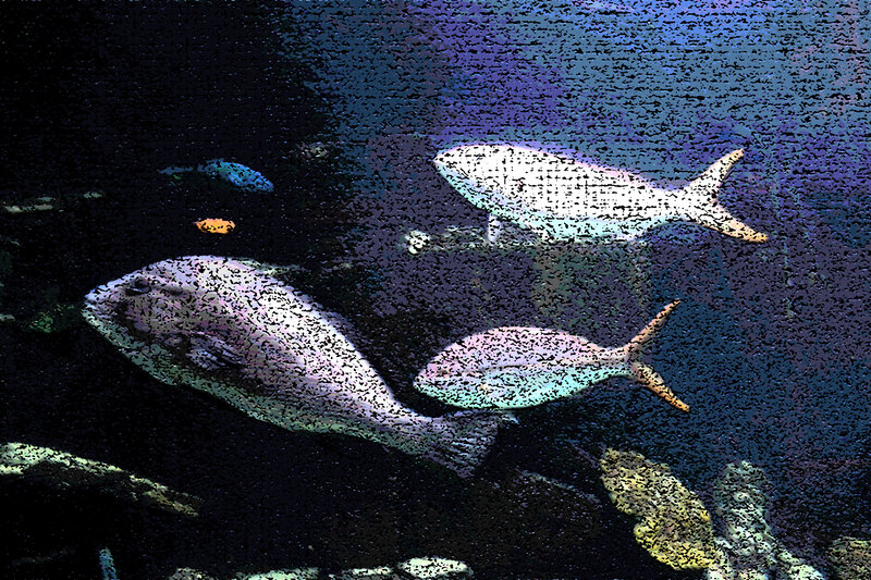 Fish in Aquarium — Blue