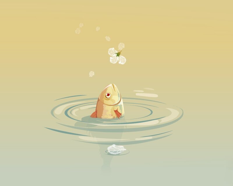 fish in calm water