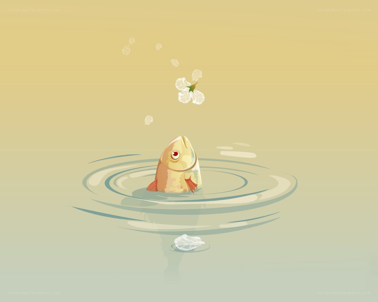 fish in calm water