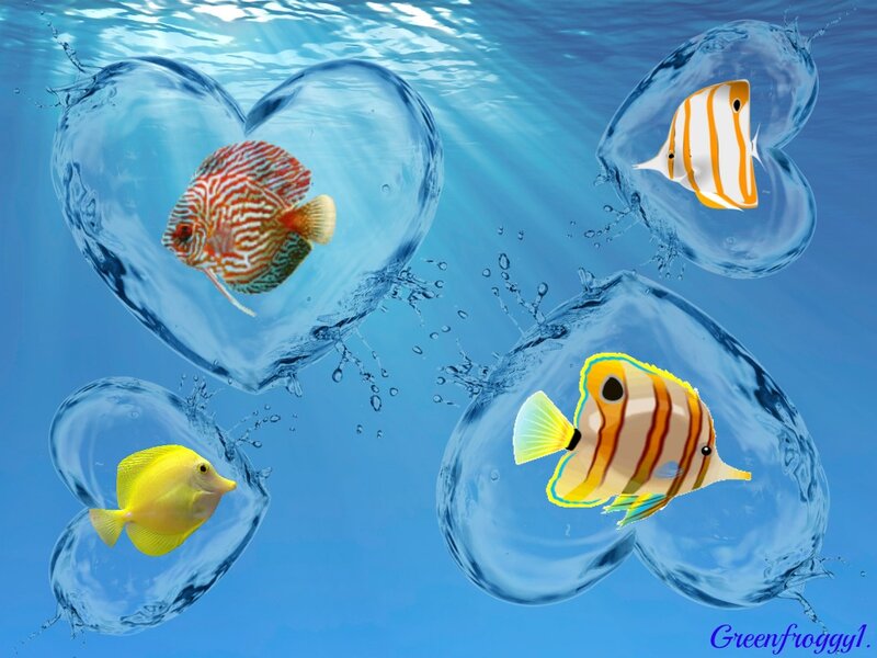 Fish in Heart-shaped Bubbles