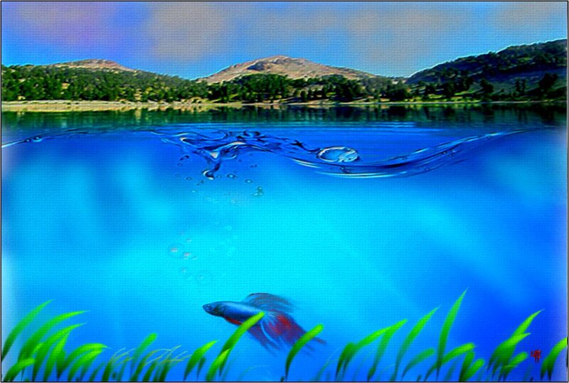 Fish in Lake Water