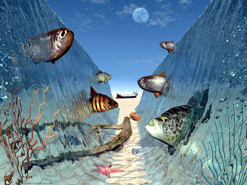 Fish in Underwater Canyon — Blue, Serene