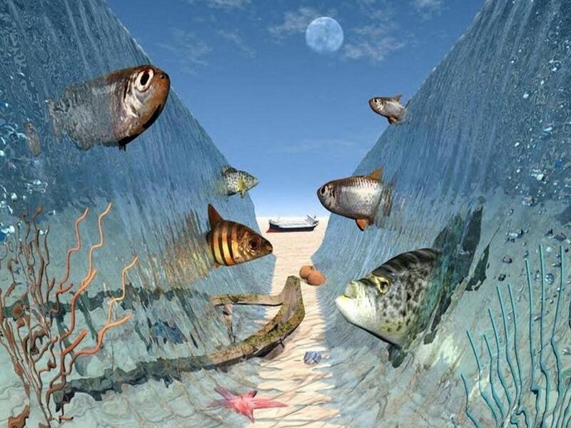 Fish in Underwater Canyon — Blue