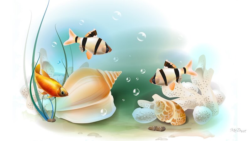 Fish in Underwater Scene — Blue, Serene