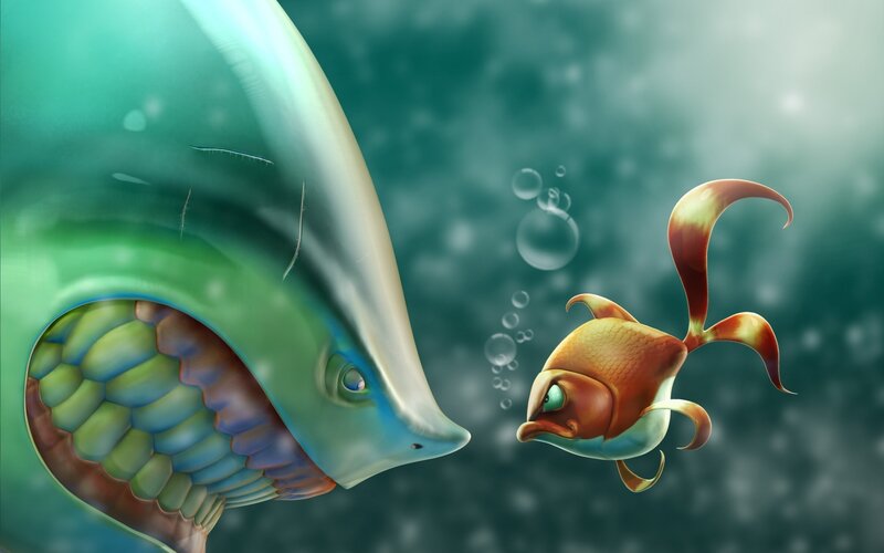 fish in underwater scene