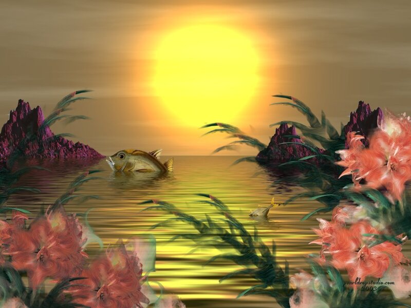 Fish in Water at Sunset