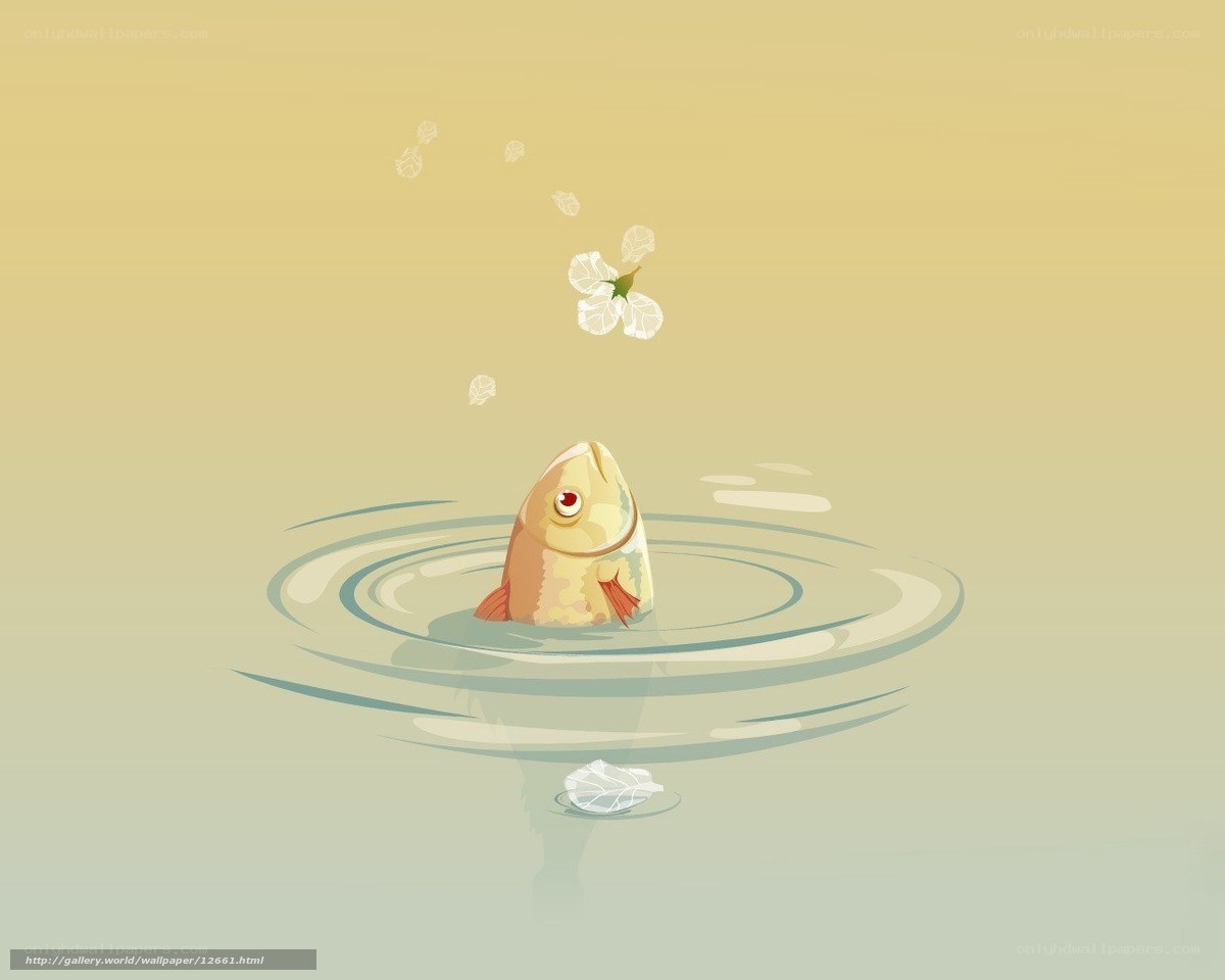 fish jumping for flower