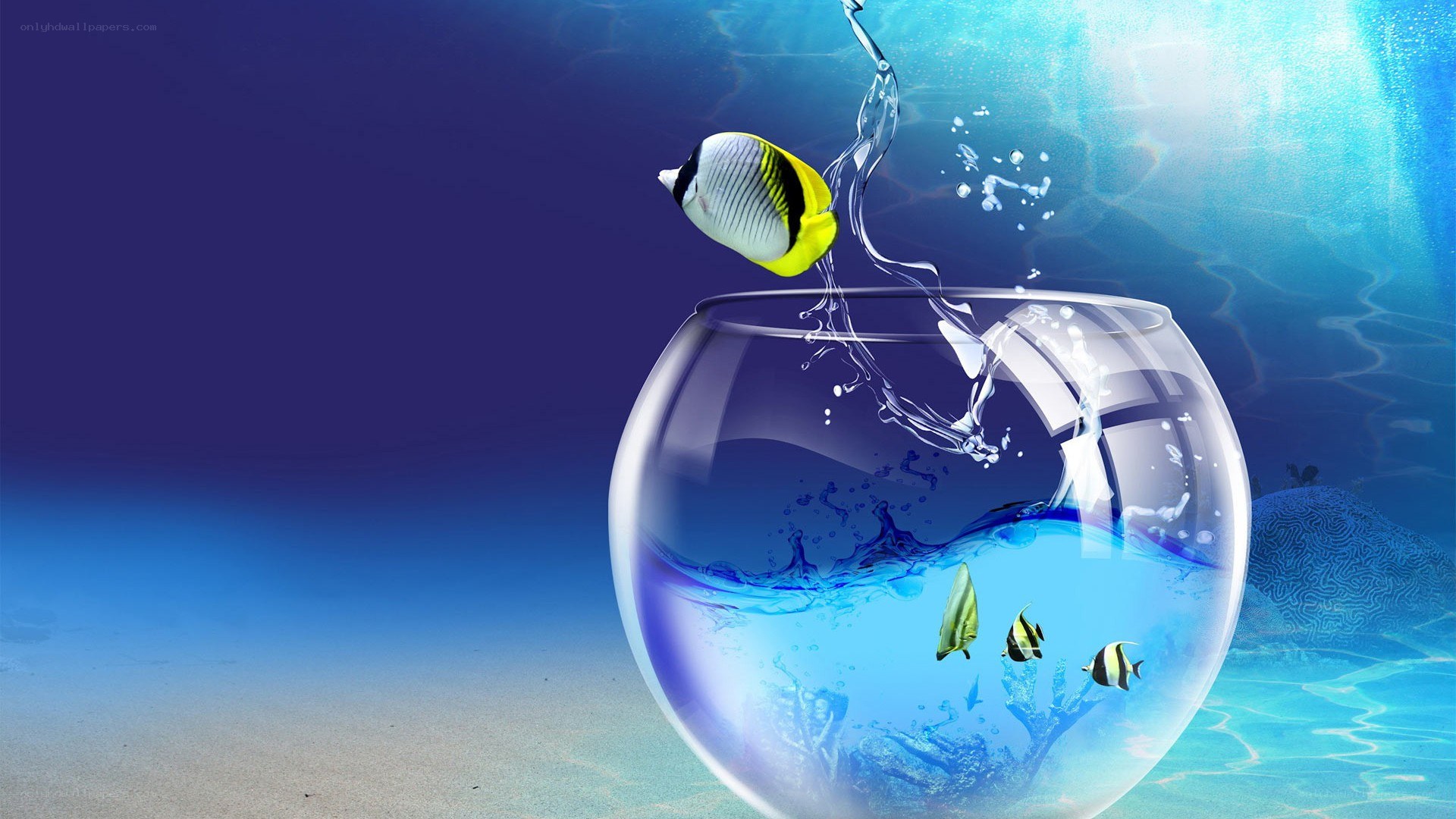 Fish jumping from a bowl
