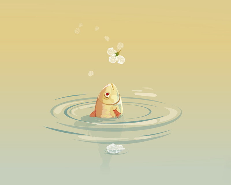 fish jumping in water