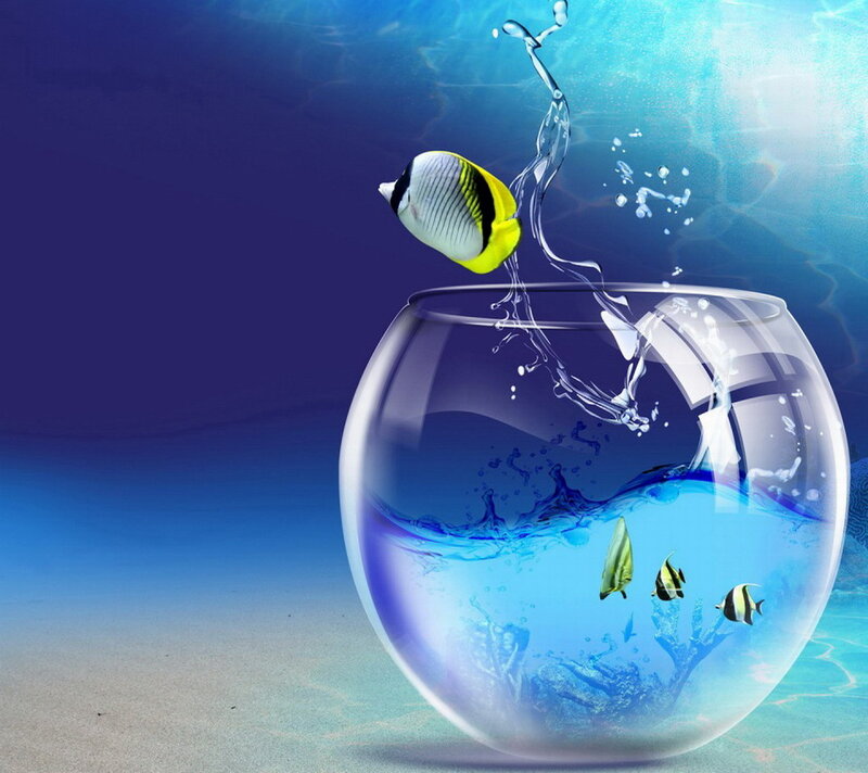 Fish Jumping Out of Bowl — Blue, Dynamic