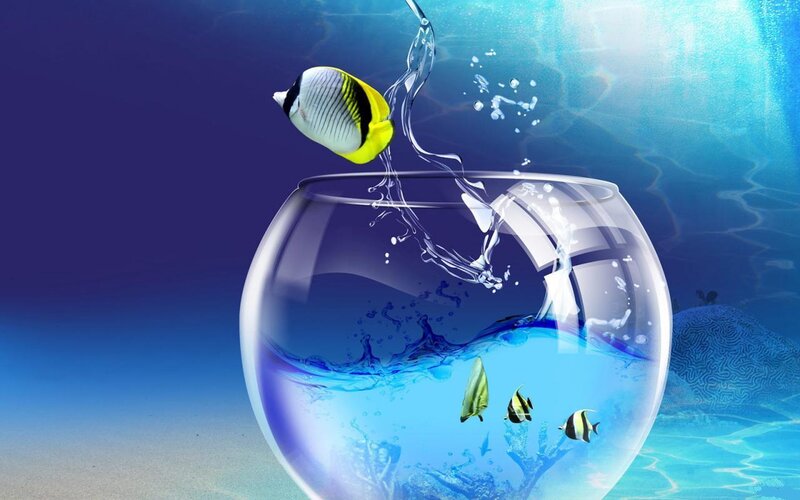 Fish Jumping Out of Bowl — Blue