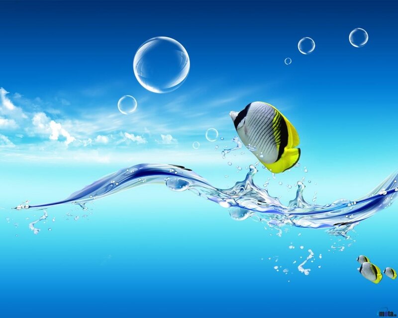 Fish jumping out of water
