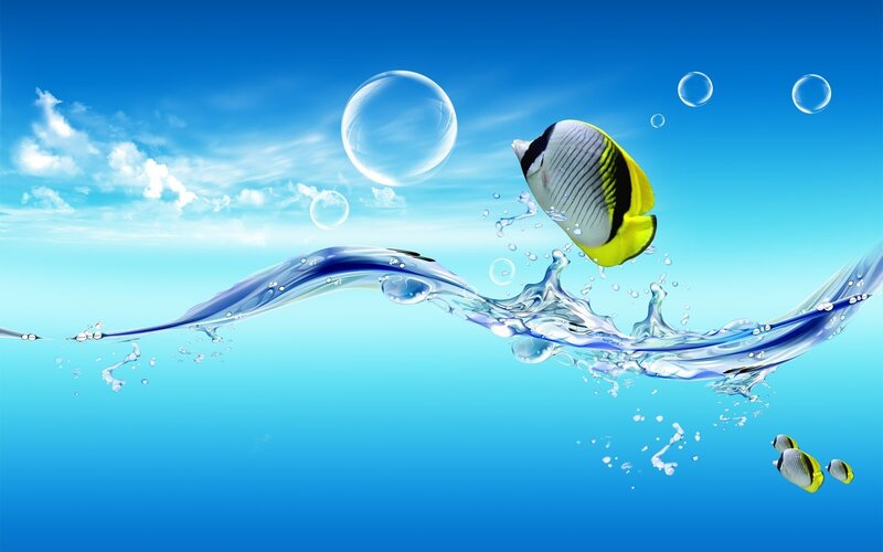 Fish jumping out of water