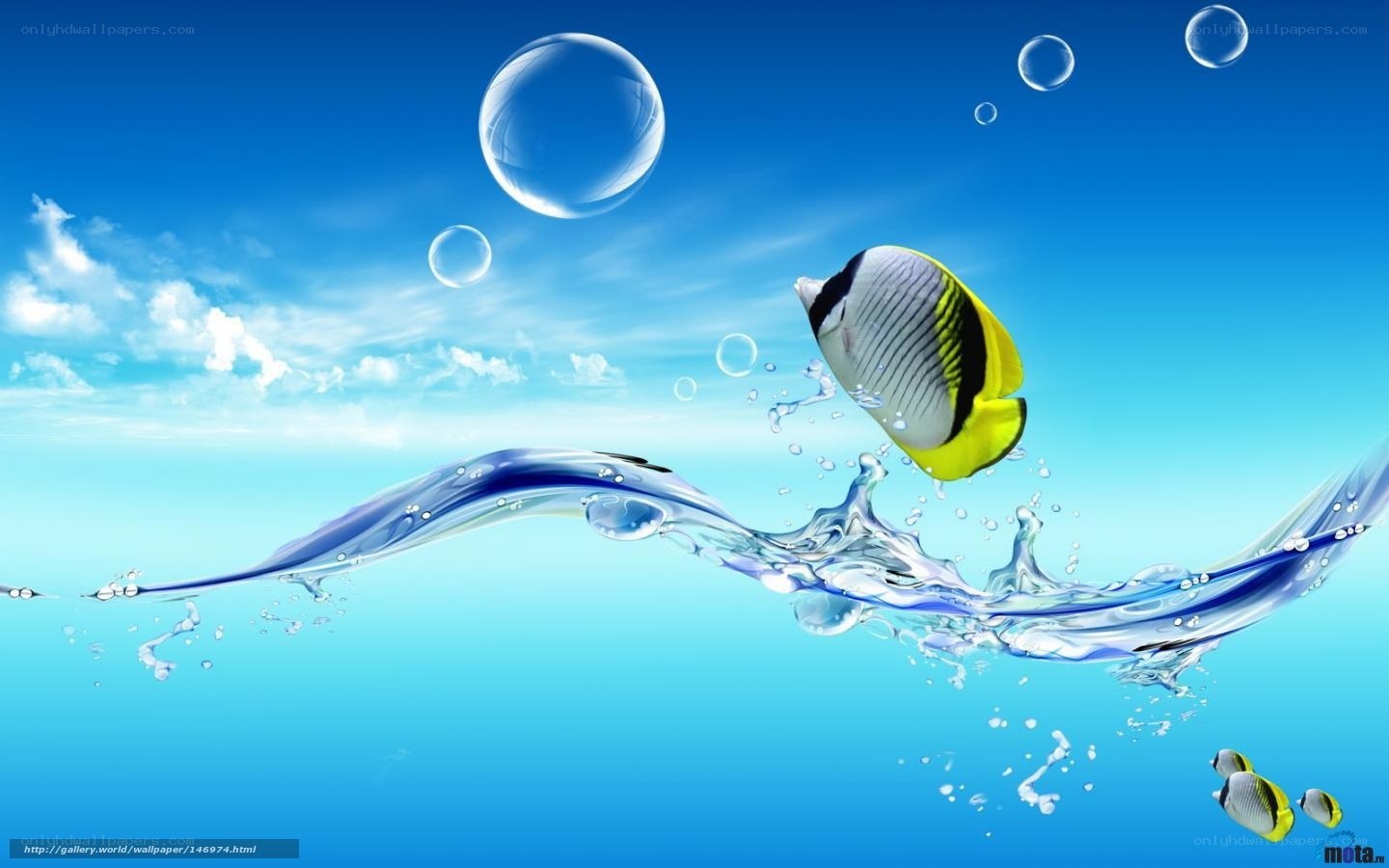 Fish jumping out of water