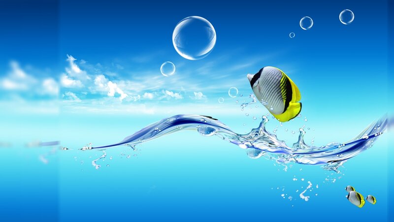 Fish leaping from water