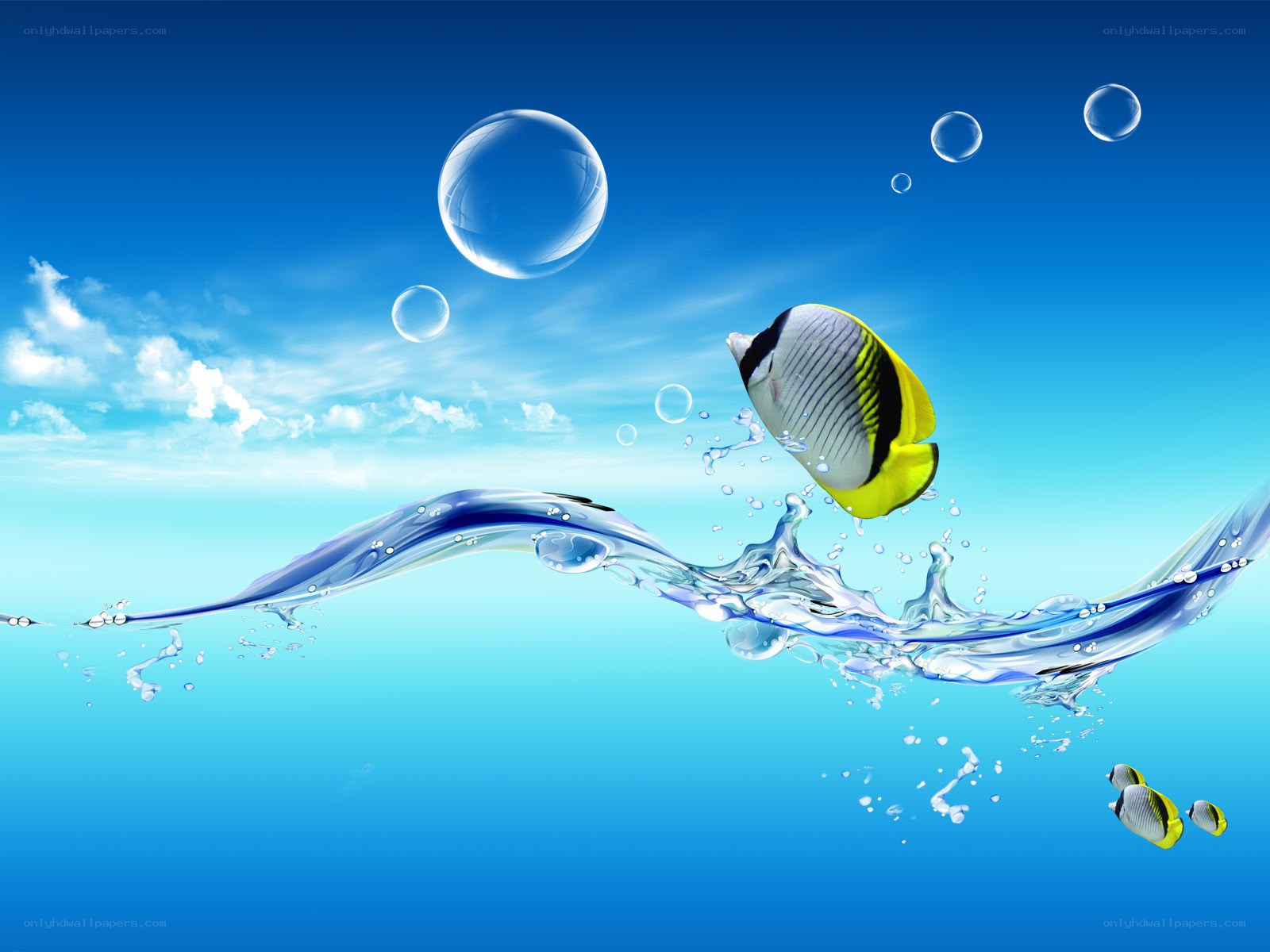 Fish leaping from water
