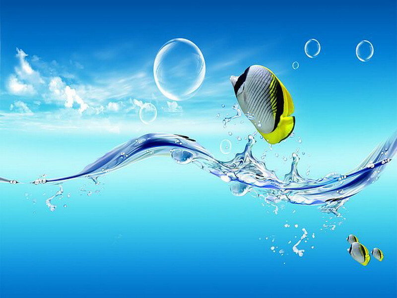 Fish leaping from water